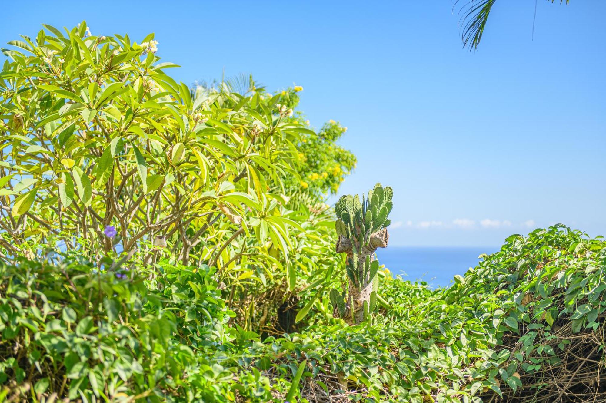Le Jardin Des Tuit Tuit * Vue Mer * Cozy サン・ル エクステリア 写真